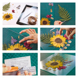 Flores prensadas