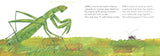The Very Quiet Cricket/El grillo muy silencioso (Bilingual English-Spanish Edition)