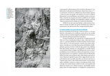 Historia natural de la arquitectura