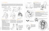 Dibujar los animales