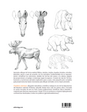 Dibujar los animales