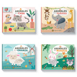 Animales del Bosque - Animales y Texturas