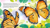 Mariposas. Cuando las familias Cambian