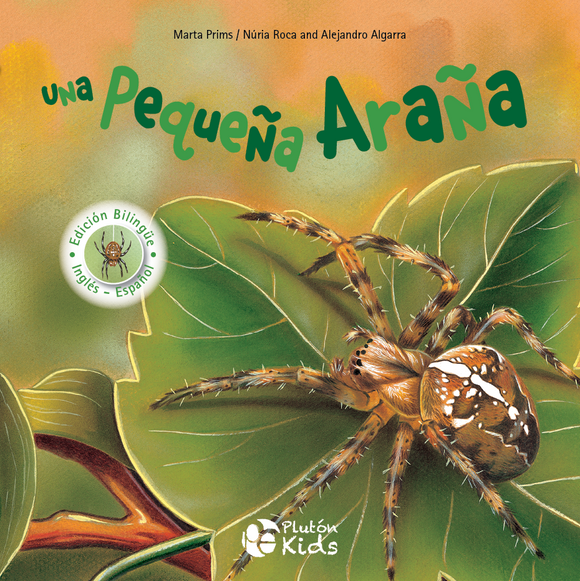 Una pequeña araña