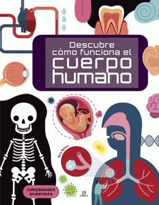 Descubre Cómo Funciona el Cuerpo Humano