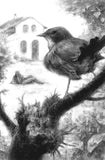 El fantasma de Canterville y otros relatos (Pocket)